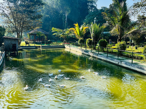 Jorhat酒店住宿-Bononi