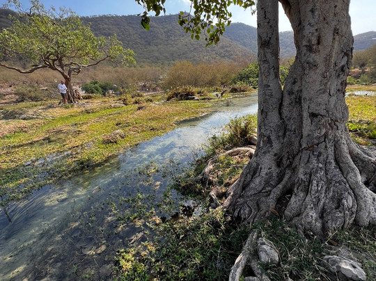 Marhaba Dhofar-塞拉莱必去景点