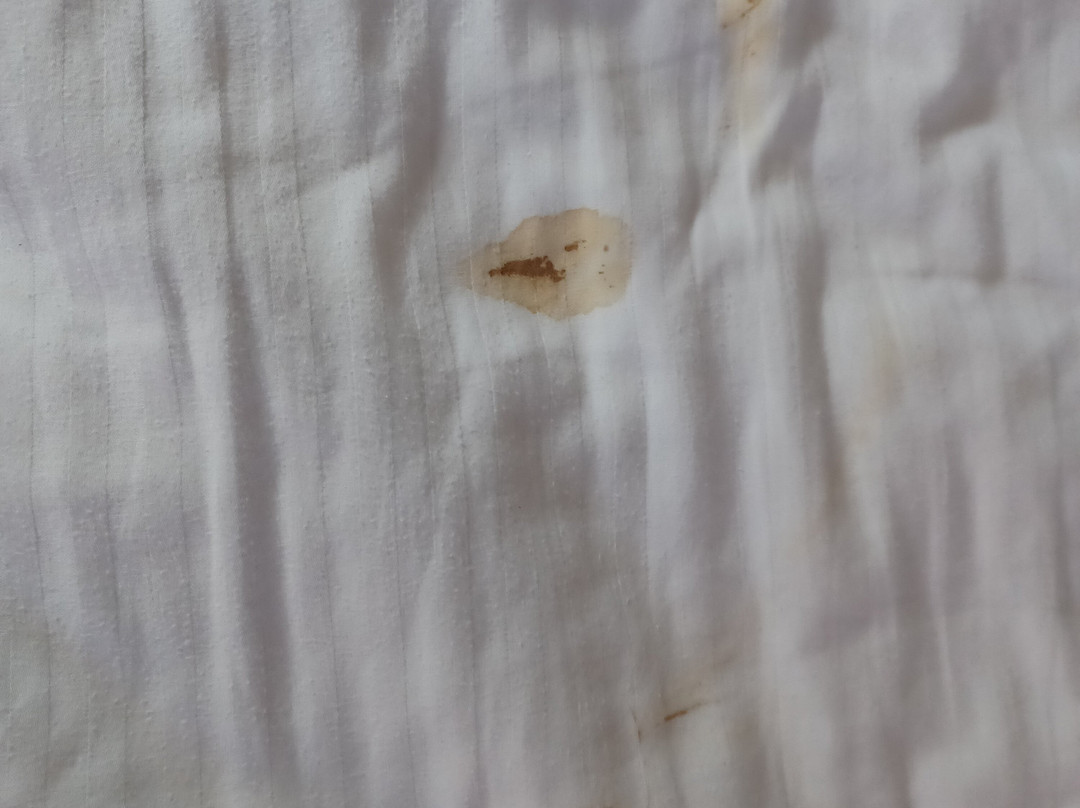 La Quinta Inn & Suites by Wyndham Waxahachie主图