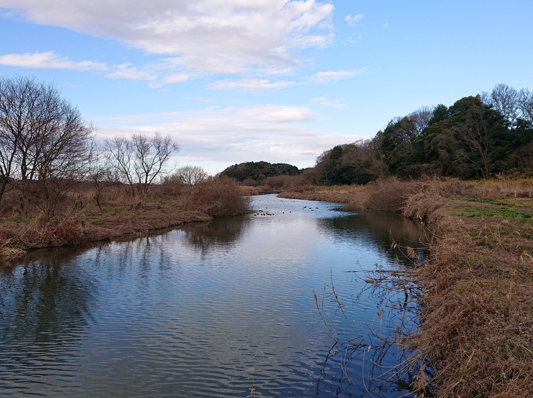 Sugaonuma-常总市必去景点
