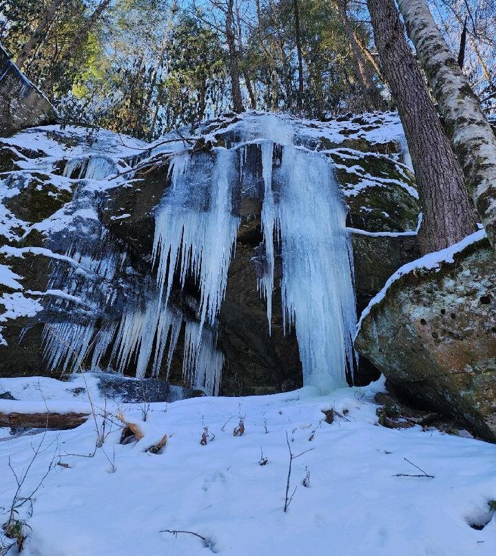 Yahoo Falls景点图片
