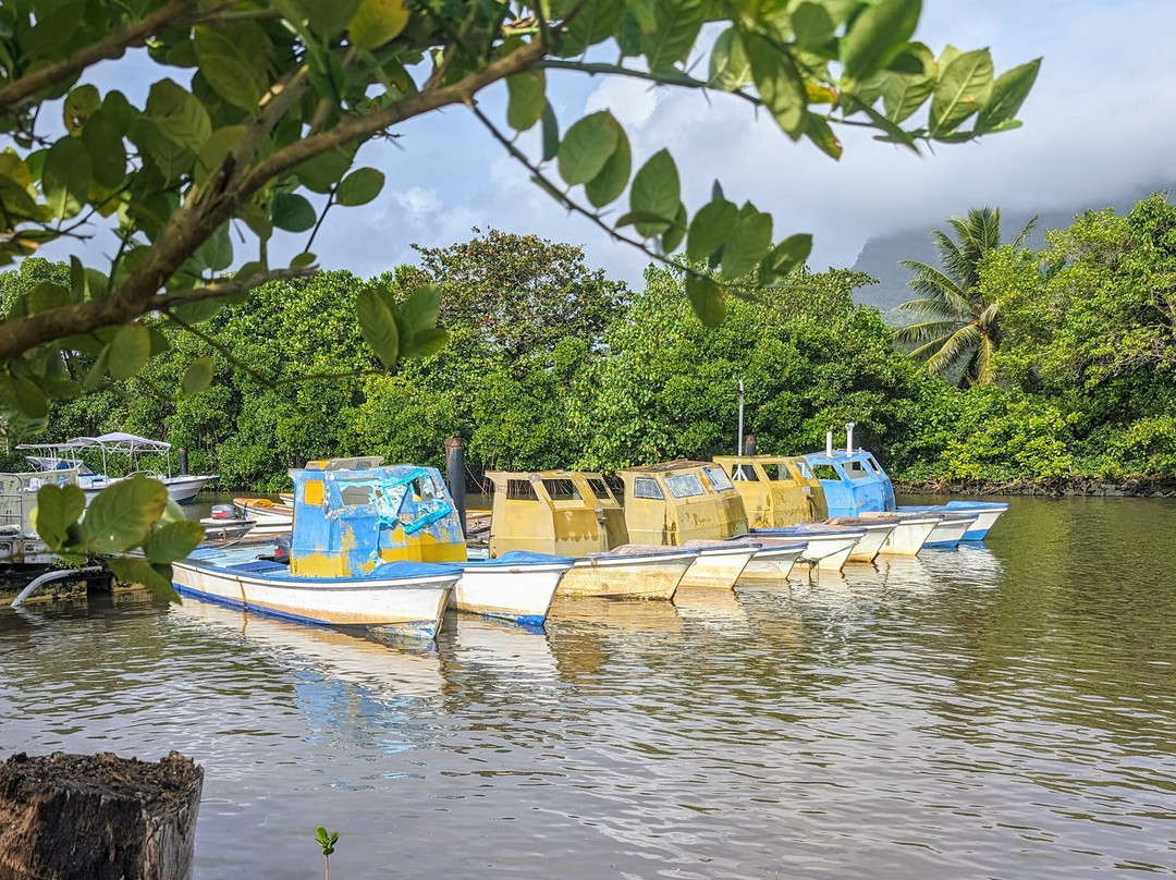 Lelu Island景点图片