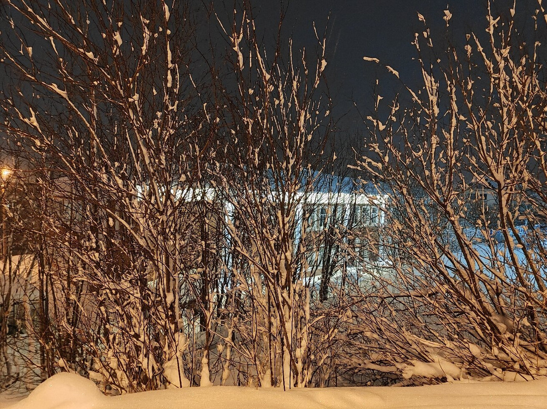 Sokroma Hyperborea主图
