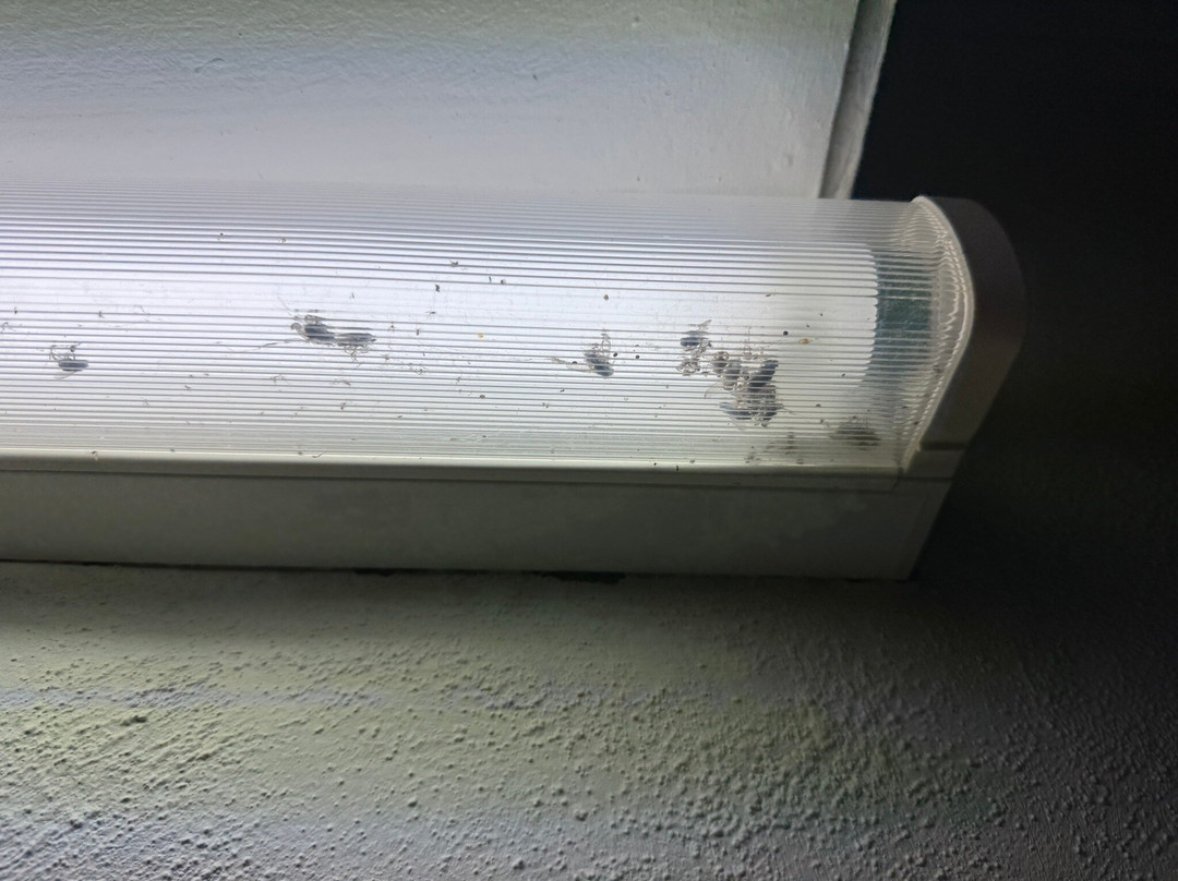 Kaputar Motel - Narrabri