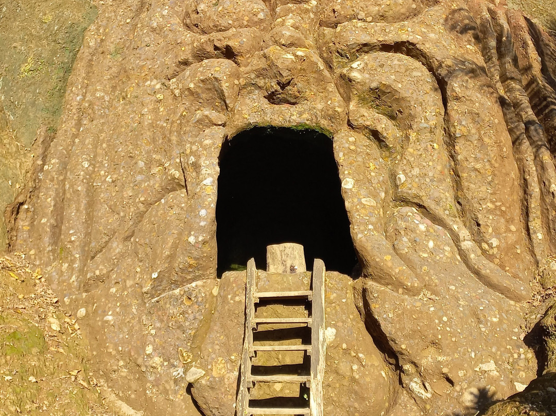 Mirador Indichuris-Puyo必去景点