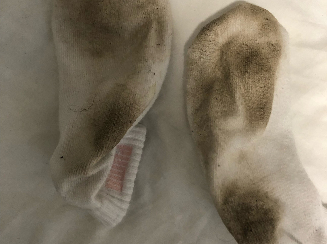 La Tavola Calda Hotel主图