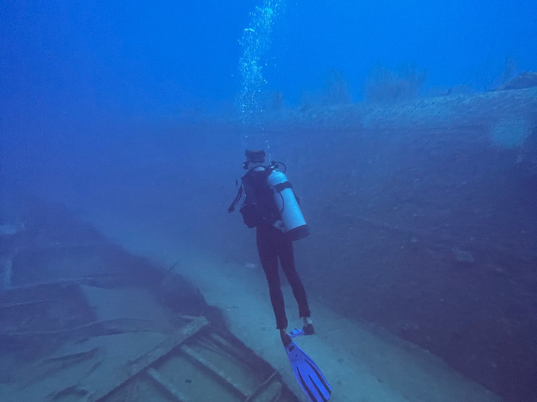 Entre Mares Dive Center景点图片