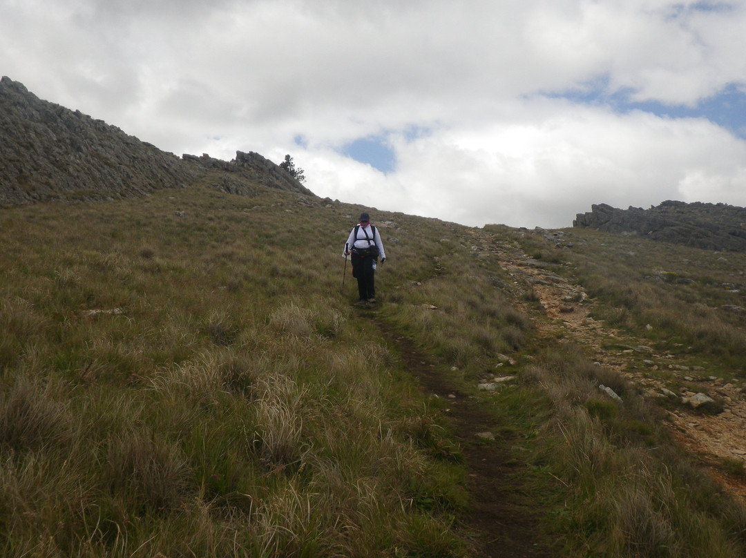 Cerro Tres Picos景点图片