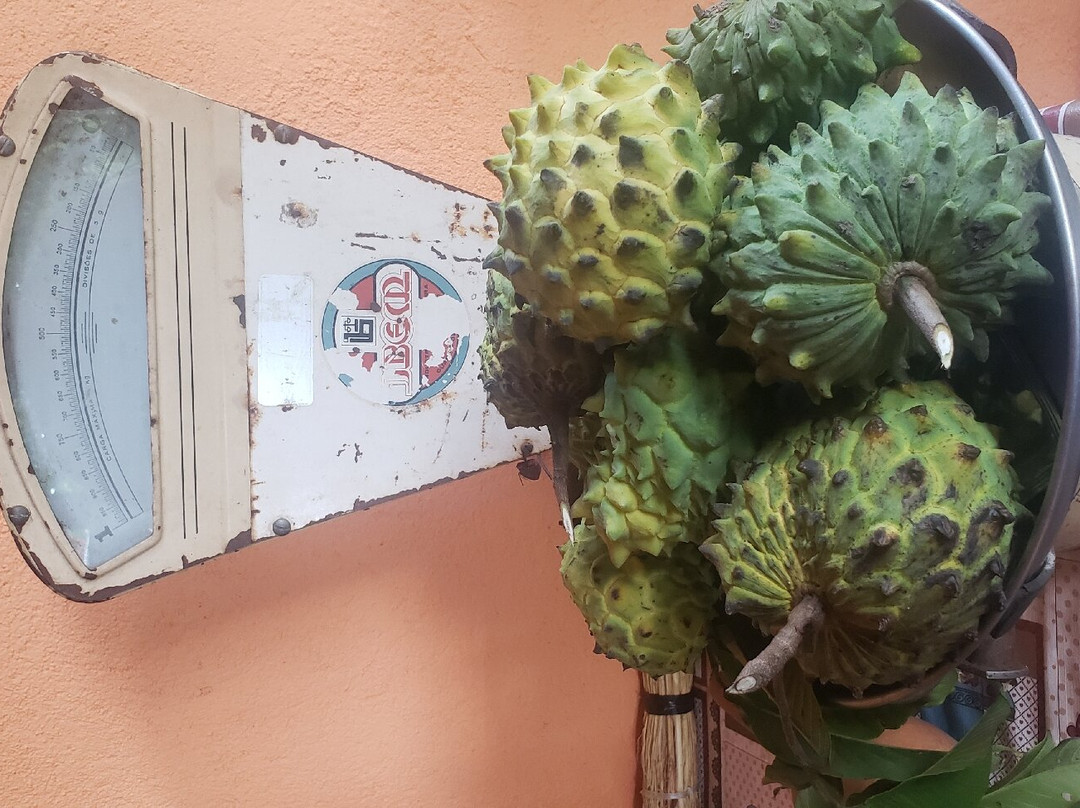 Sitio São Fernando Turismo Rural-塞拉内格拉必去景点