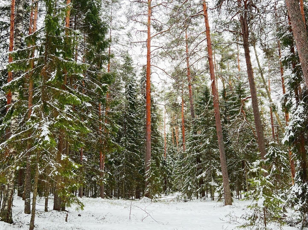 Taevaskoja Nature Trail-Polva必去景点