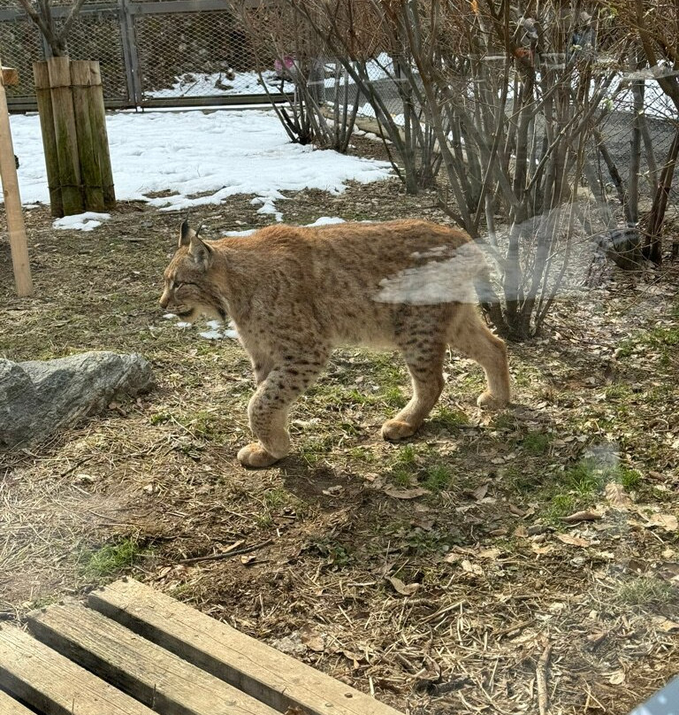 Seoul Grand Park-果川市必去景点