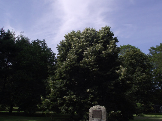 Atkinson Common-纽伯里波特必去景点