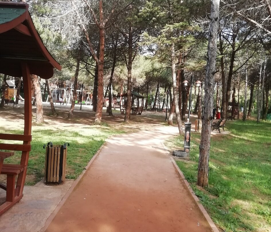 Mercan City Park and Sports Facilities
