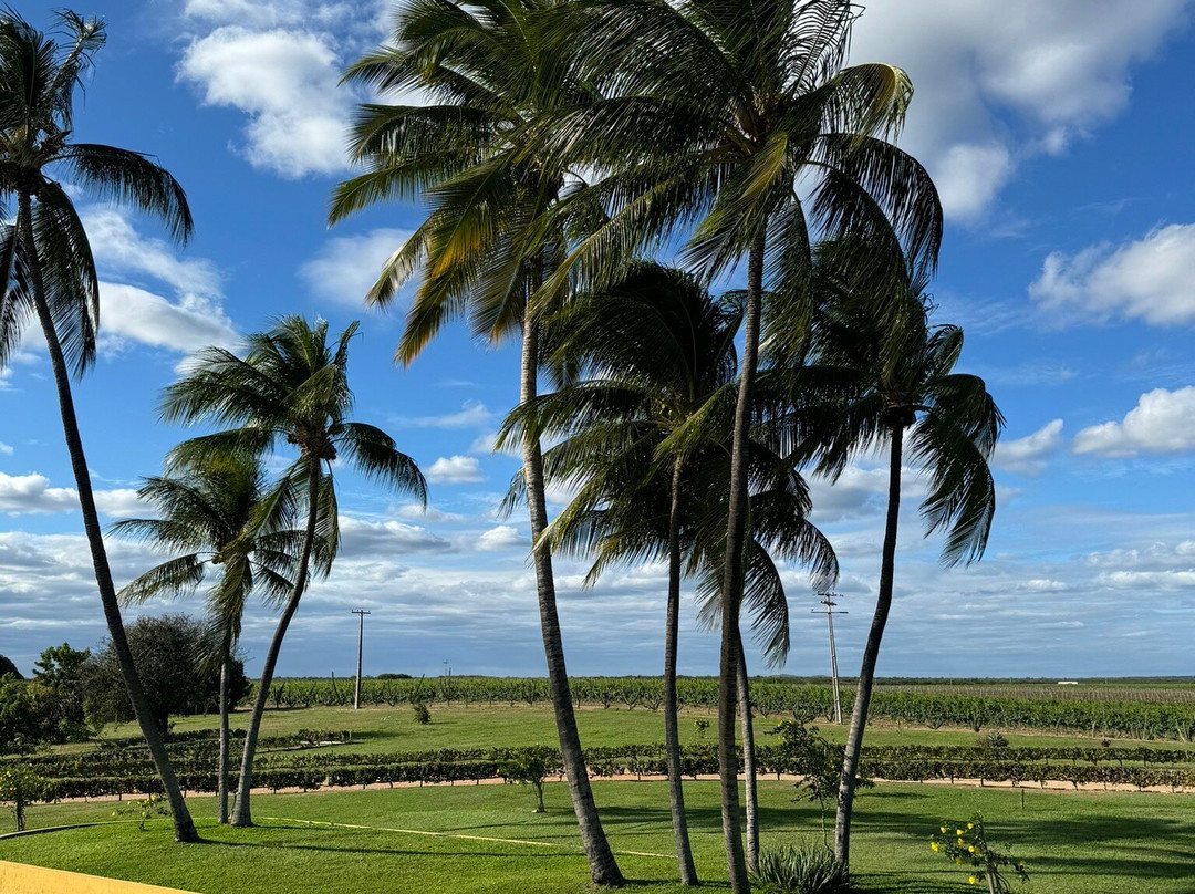Vapor do Vinho-Juazeiro必去景点