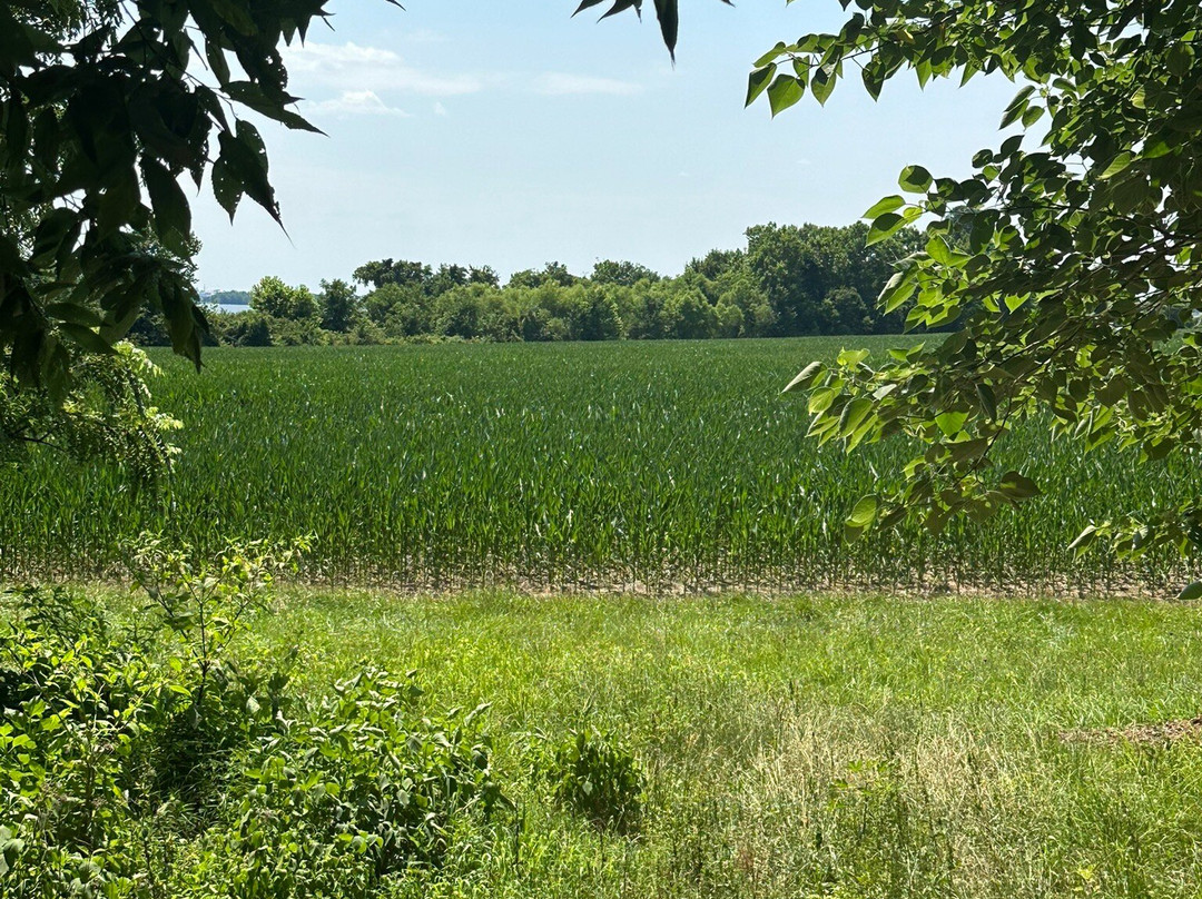 Berkeley Plantation-Charles City必去景点