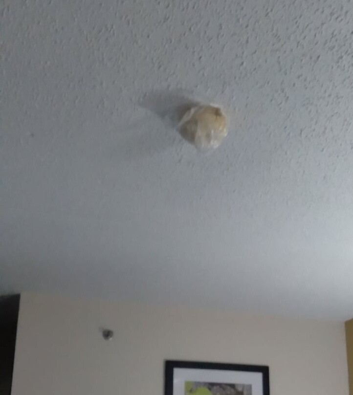 Quality Inn & Suites主图