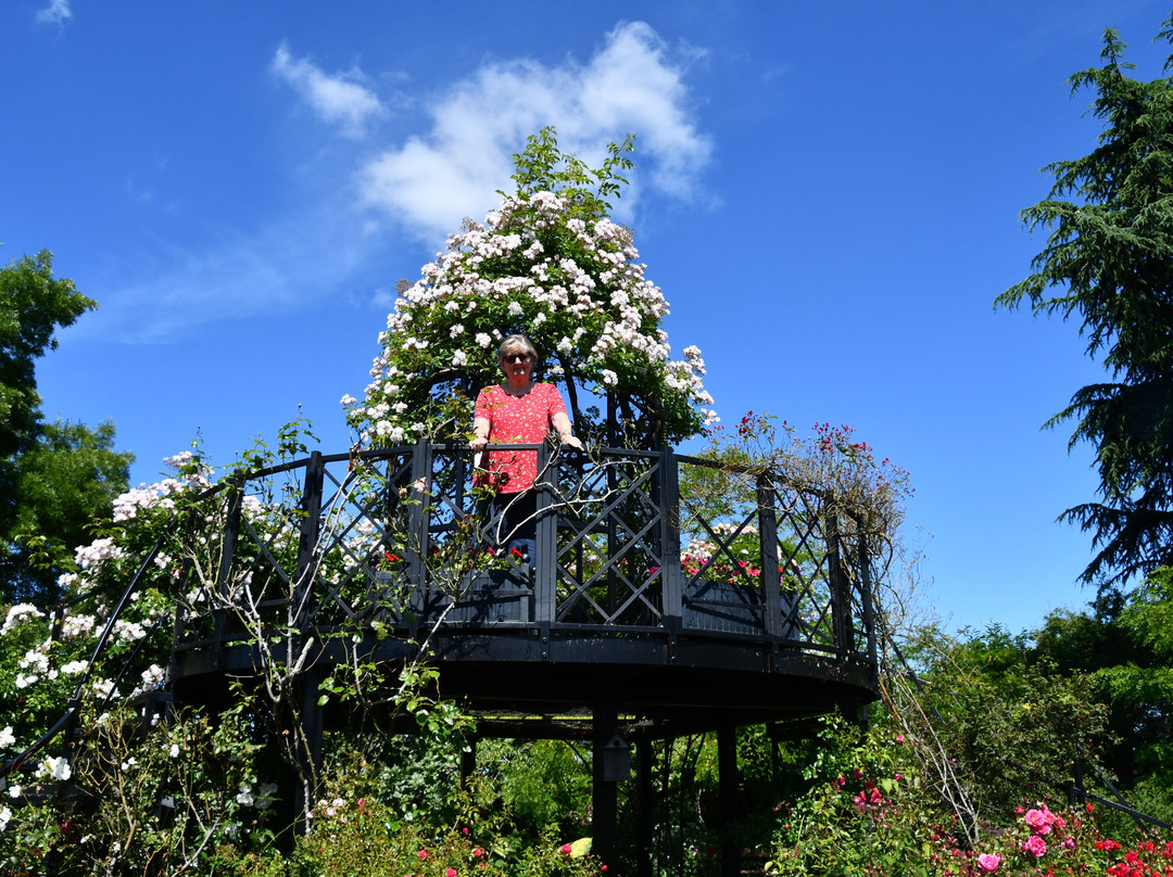 Peter Beales Roses景点图片
