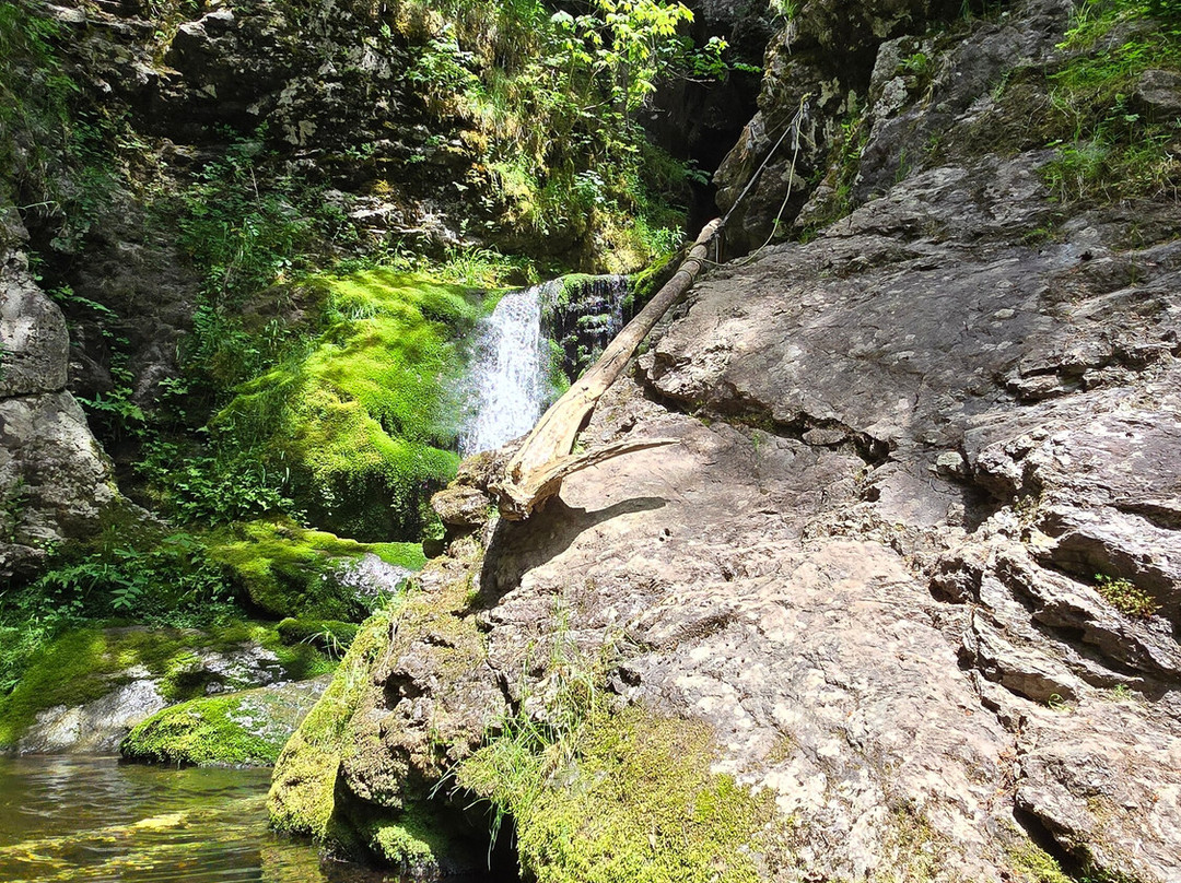 Ward Falls景点图片