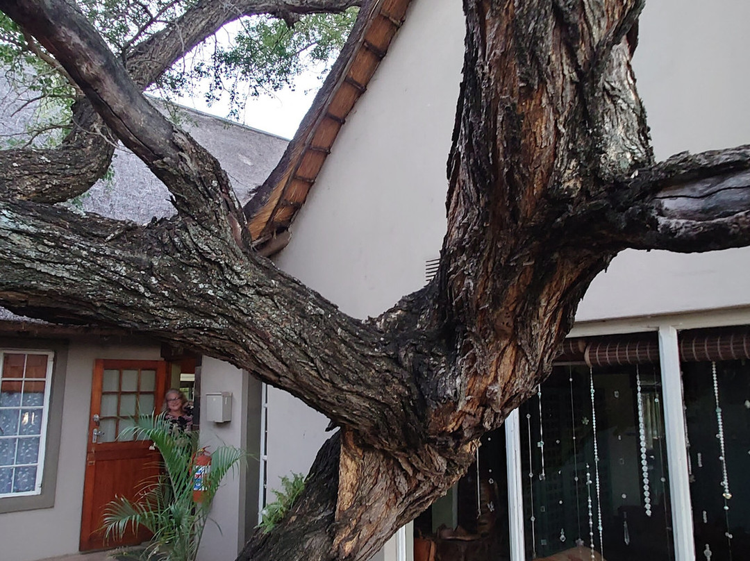 Blyde Mountain Country House主图