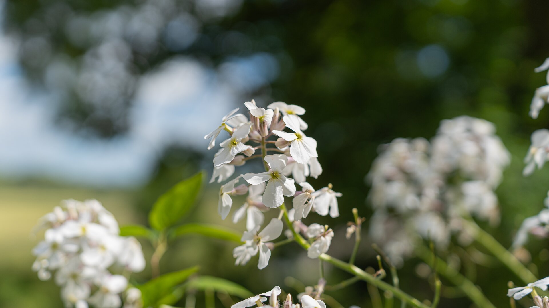 Cruachan House-浴室