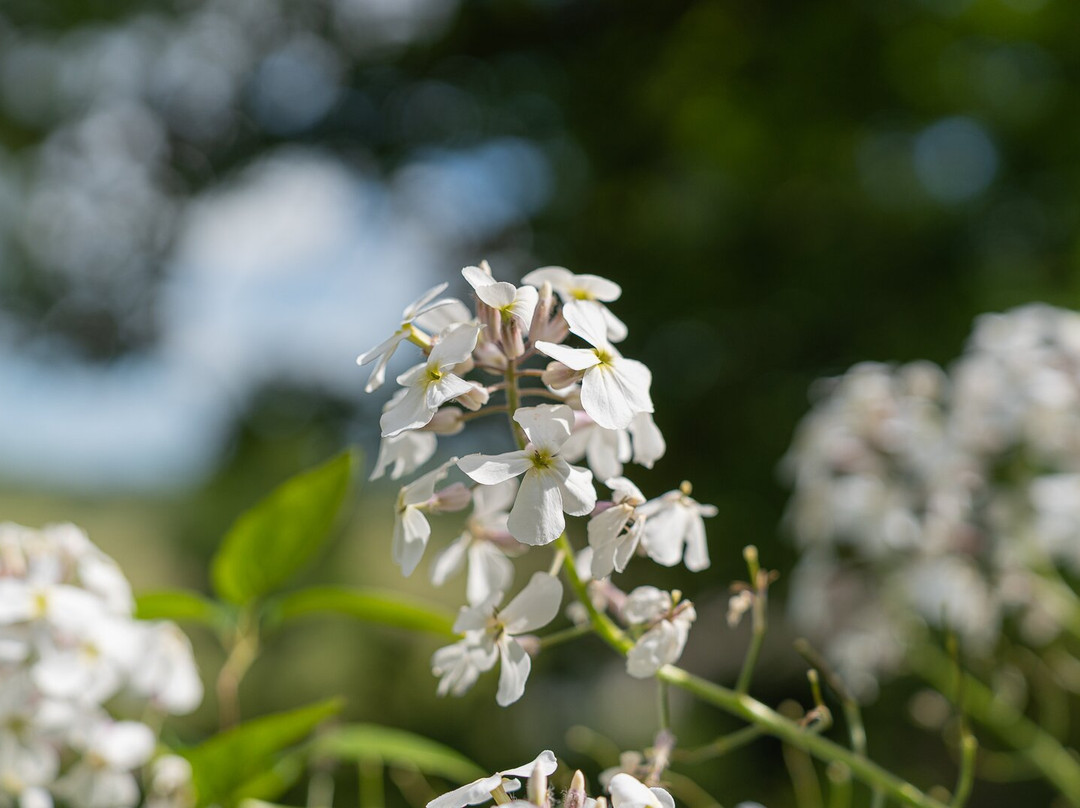 Cruachan House主图