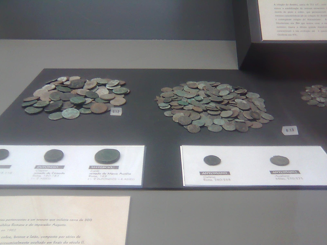 Museu Da Região Flaviense景点图片