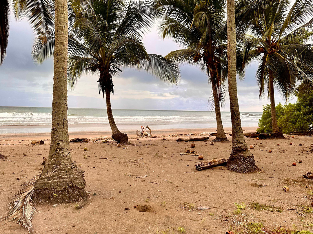 Playa Corozalito景点图片