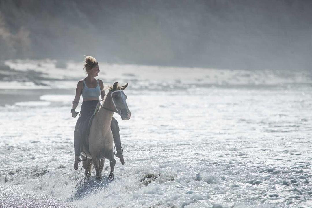 Horse Jungle-萨玛拉滩必去景点