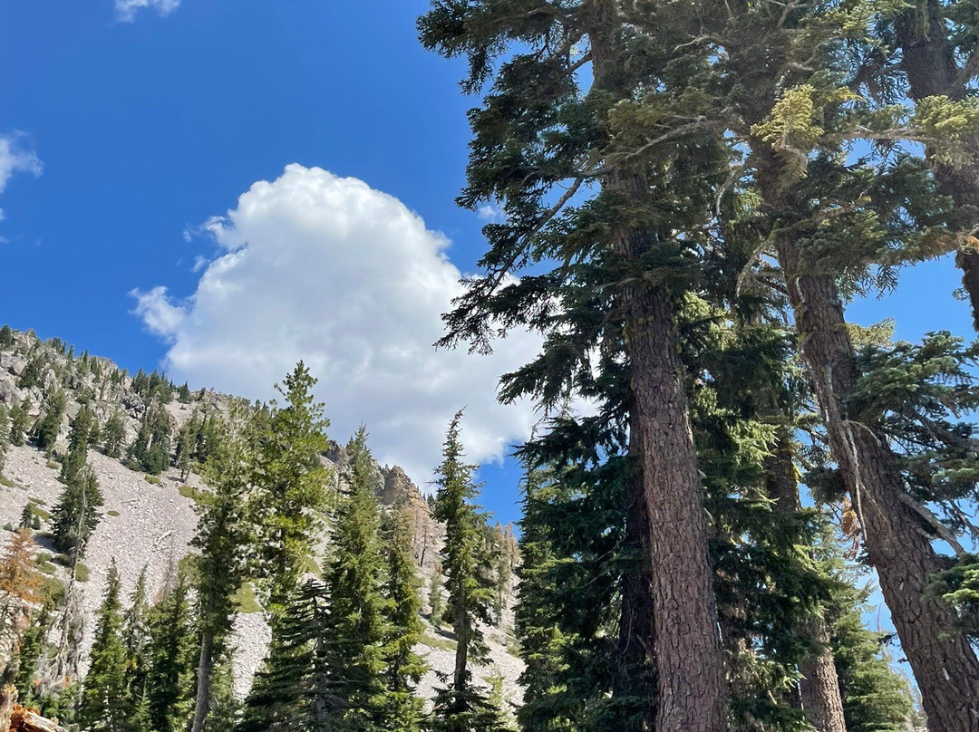 Lassen Volcanic National Park景点图片