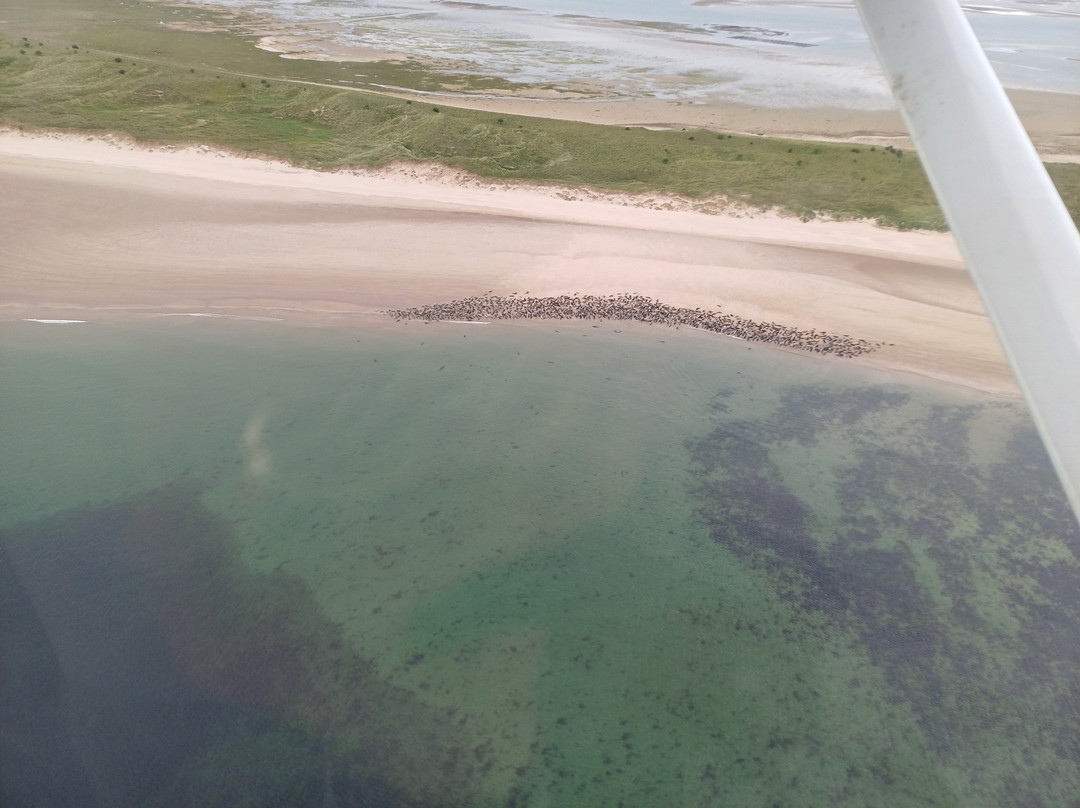 Tiger Flights Northumberland景点图片