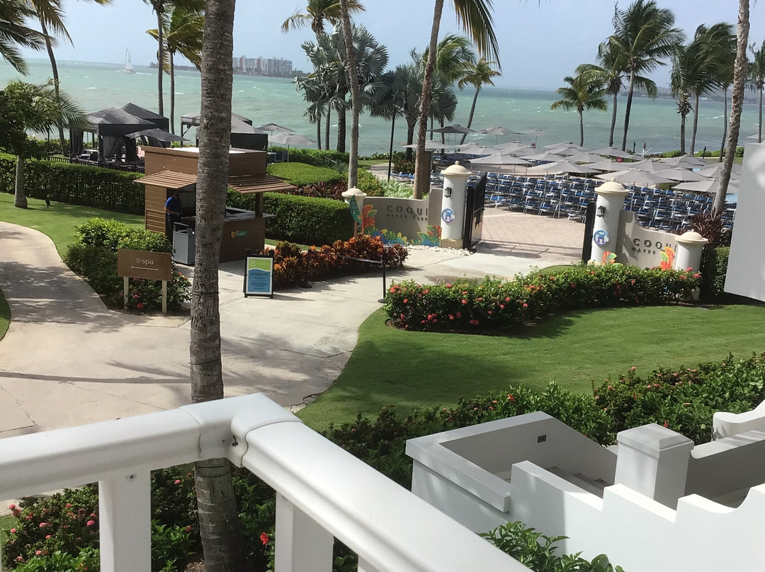 厄尔尼诺征服者华尔道夫度假酒店主图