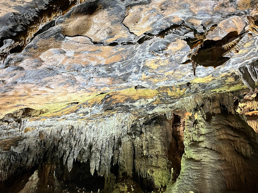 Grotte Di Castelcivita景点图片
