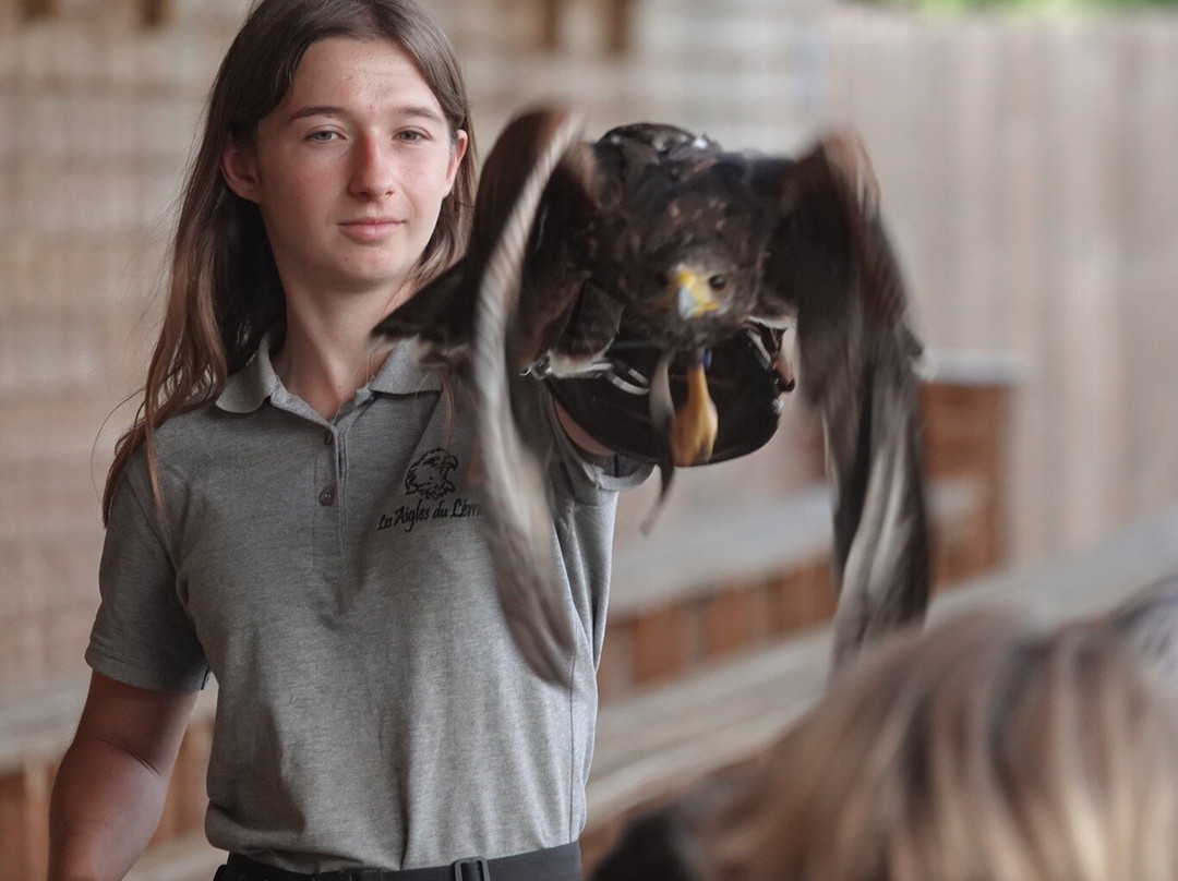 Les Aigles du Léman景点图片