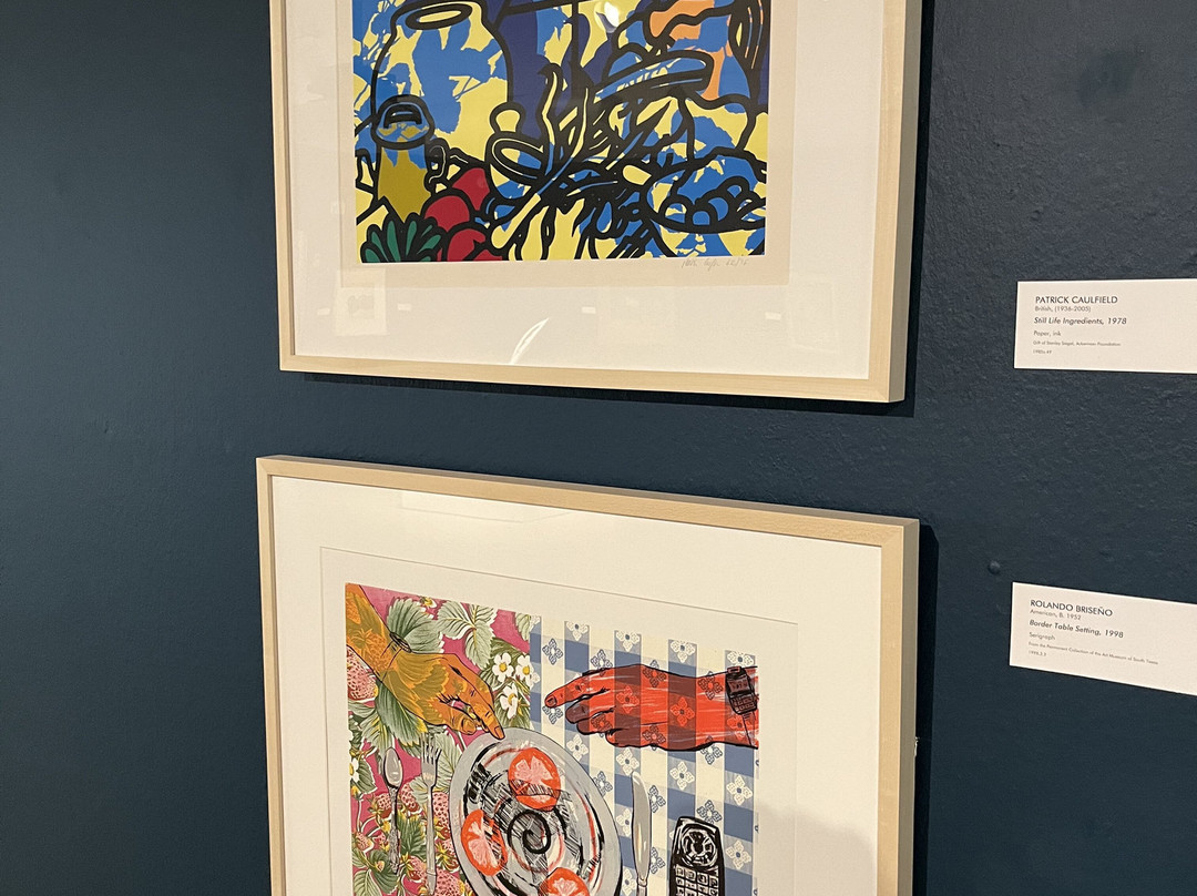 The Art Museum of South Texas-科珀斯克里斯蒂市必去景点