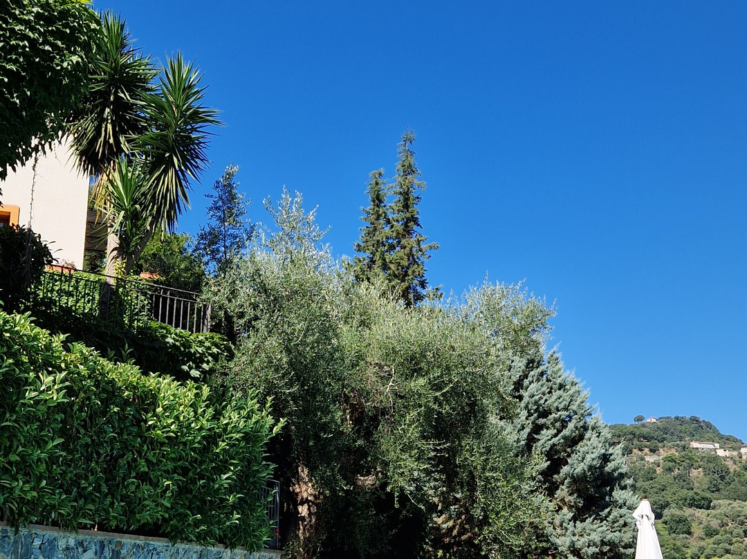 Borgo San Francesco主图