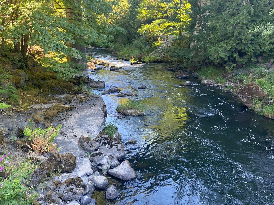 Tumwater Falls Park-塔姆沃特必去景点
