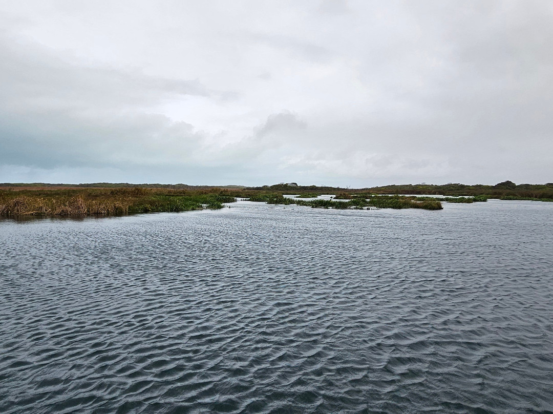 Piccaninnie Ponds Conservation Park景点图片