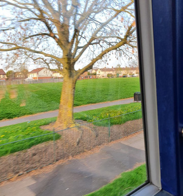 Webster Park-Kirkby必去景点