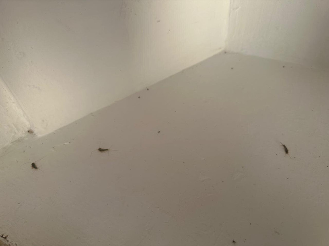 Makronisos Holiday Village主图