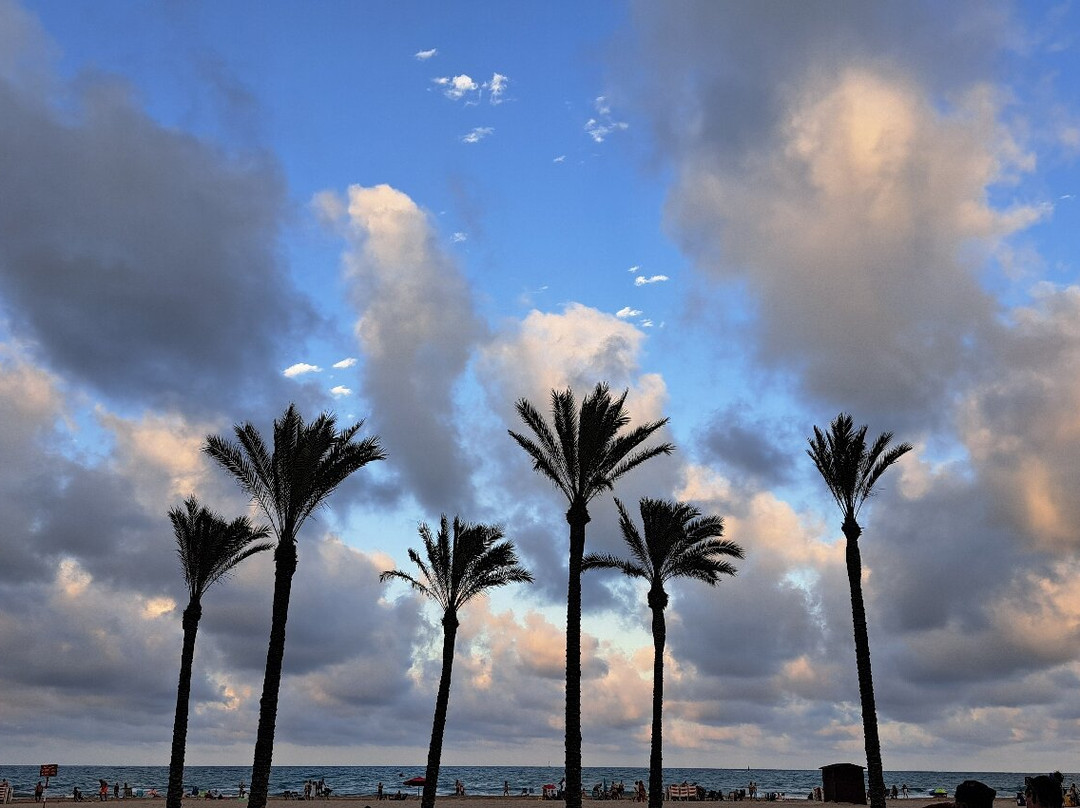 Mar De Tapas Cullera