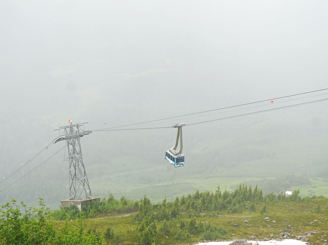 Alyeska Aerial Tramway-戈德伍德必去景点
