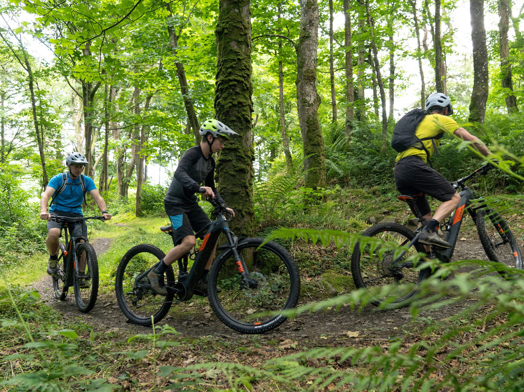 Castlewellan Mountain Bike Trails景点图片