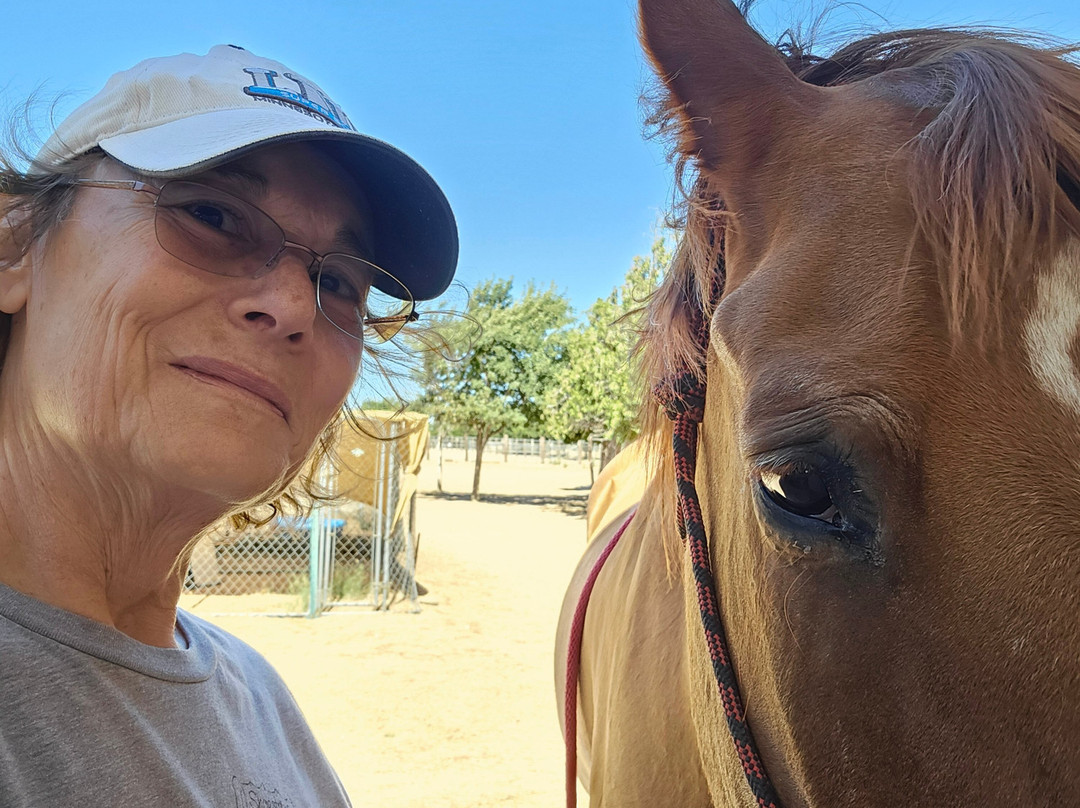 Shoestring City Ranch-Phelan必去景点