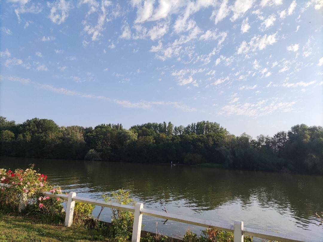 Hostellerie du Pavillon Saint-Hubert主图