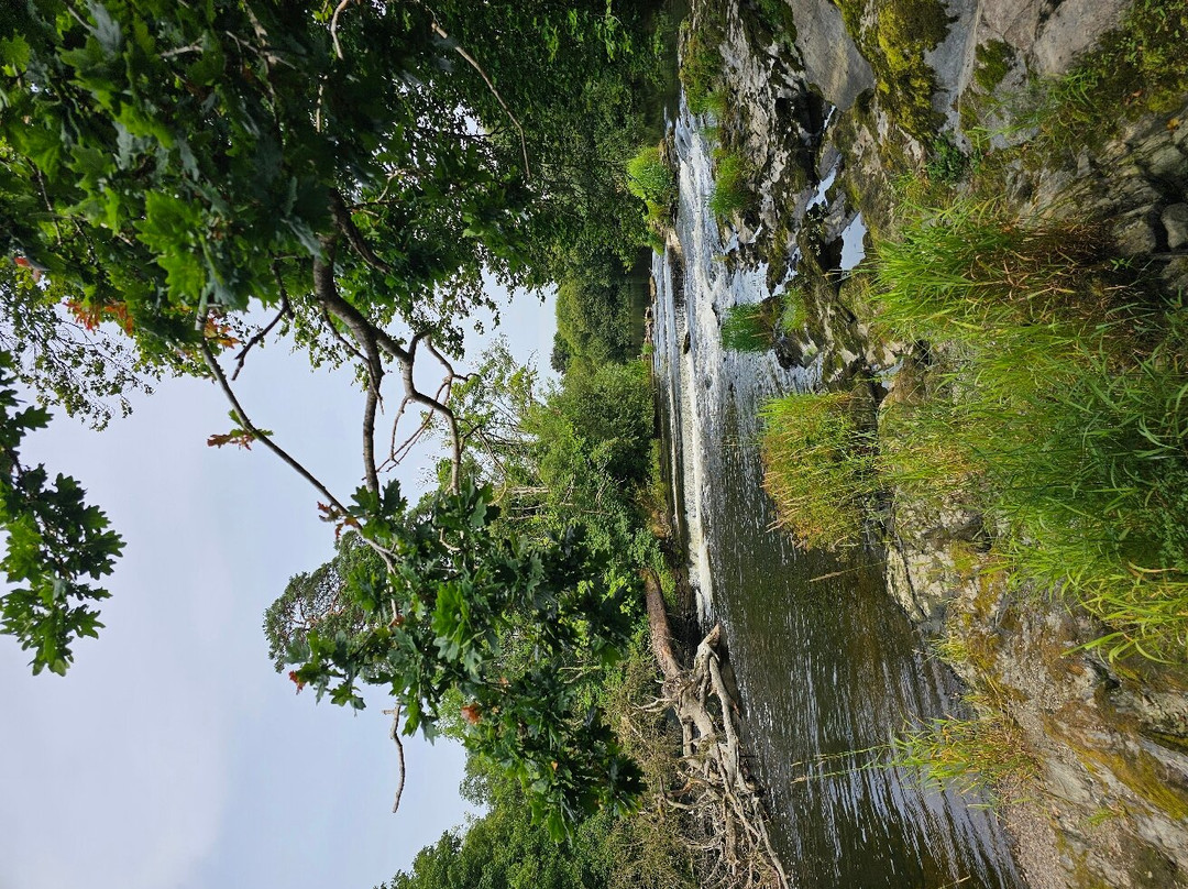 Newcastle Emlyn Castle景点图片