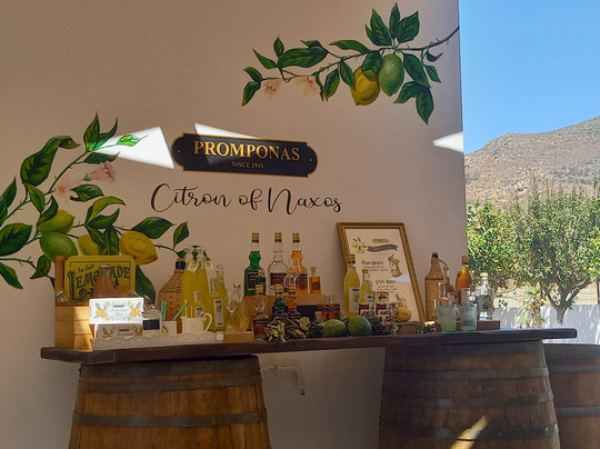 Kítro Náxou Promponás-纳克索斯必去景点