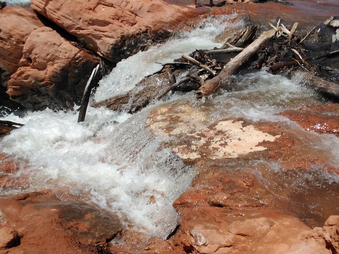 DANTE-斯普林代尔必去景点