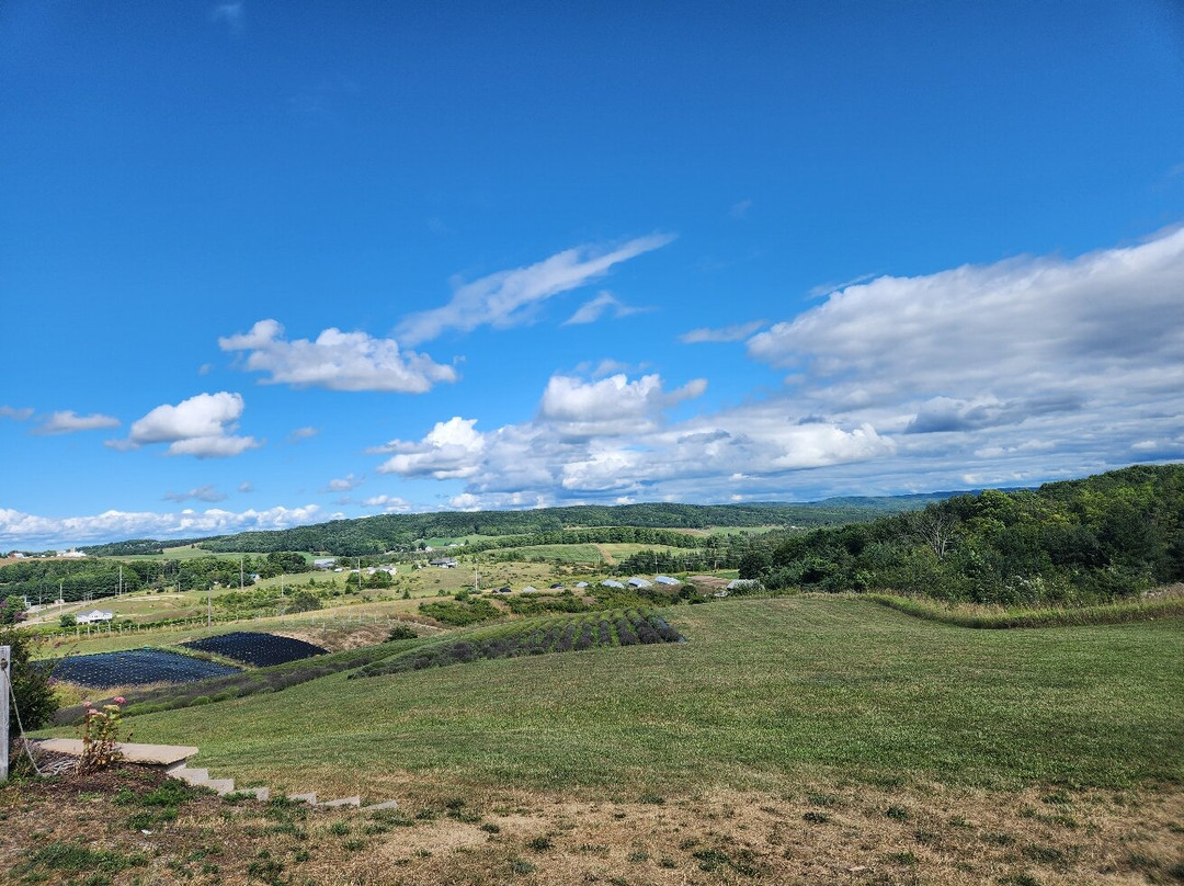 Petoskey Farms Vineyard & Winery景点图片