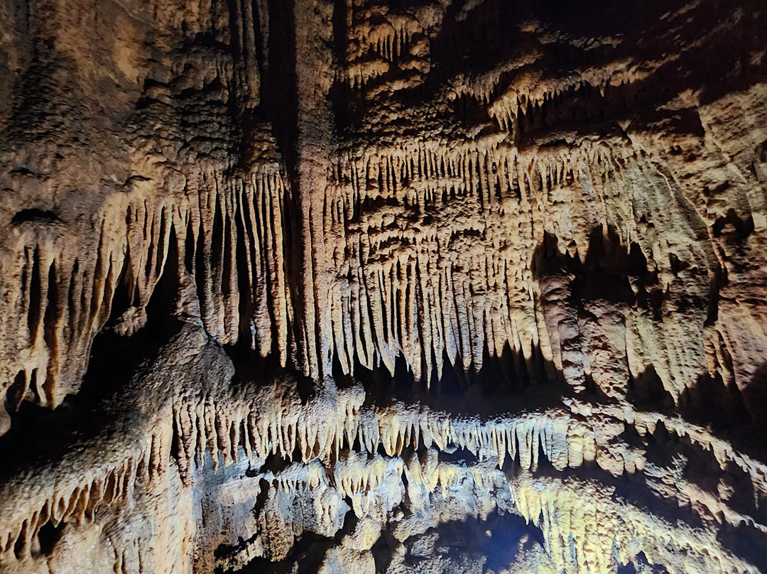 Onyx Cave-Cave City必去景点