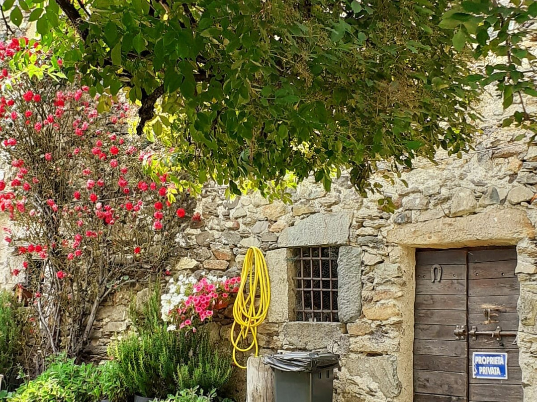 Agriturismo Ca' di Racc主图